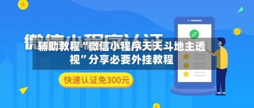辅助教程“微信小程序天天斗地主透视”分享必要外挂教程-第3张图片