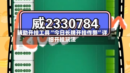 辅助开挂工具“今日长牌开挂作弊”详细开挂玩法-第2张图片