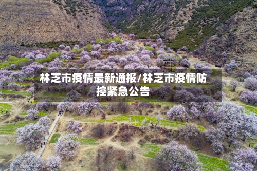 林芝市疫情最新通报/林芝市疫情防控紧急公告-第1张图片