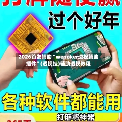 2026首发辅助“wepoker透视辅助插件”(透视挂)辅助透视教程-第2张图片