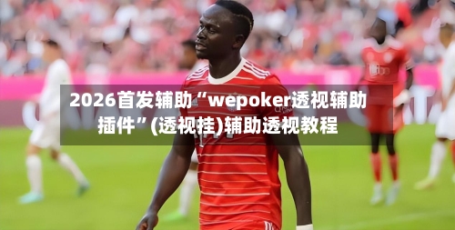 2026首发辅助“wepoker透视辅助插件”(透视挂)辅助透视教程-第3张图片