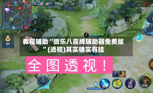 教程辅助“微乐八喜牌辅助器免费版”(透视)其实确实有挂-第2张图片