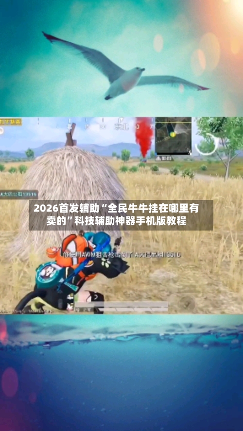 2026首发辅助“全民牛牛挂在哪里有卖的	”科技辅助神器手机版教程-第2张图片