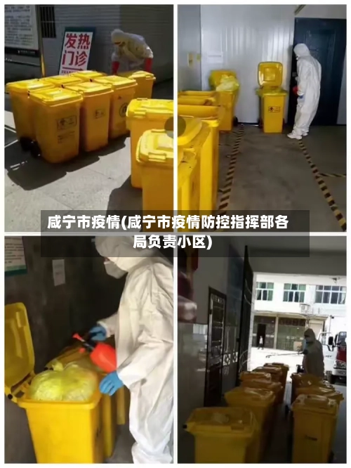 咸宁市疫情(咸宁市疫情防控指挥部各局负责小区)-第2张图片