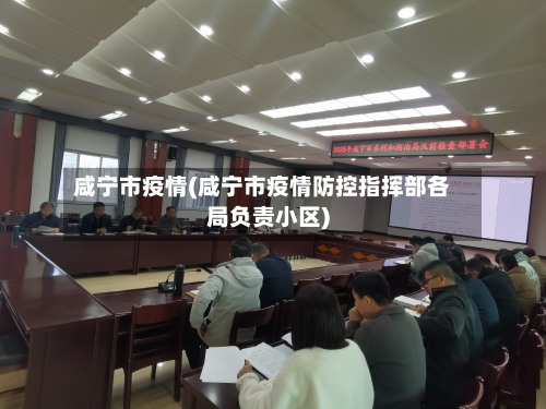 咸宁市疫情(咸宁市疫情防控指挥部各局负责小区)-第1张图片