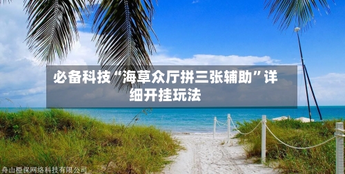 必备科技“海草众厅拼三张辅助”详细开挂玩法-第1张图片