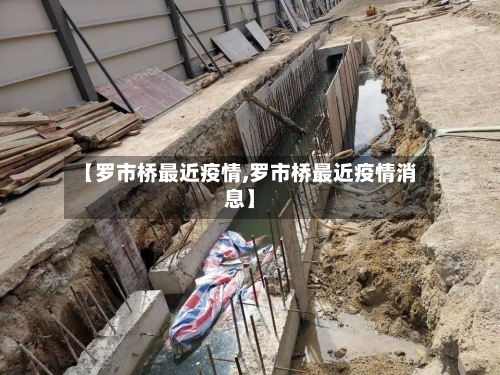 【罗市桥最近疫情,罗市桥最近疫情消息】-第2张图片
