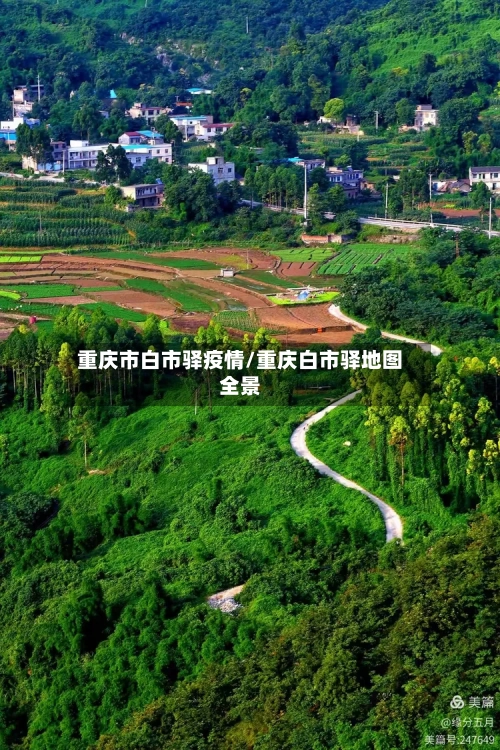 重庆市白市驿疫情/重庆白市驿地图全景-第3张图片