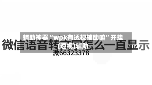 辅助神器“wpk有透视辅助嘛”开挂(透视)辅助-第1张图片