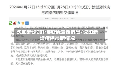 沈阳新增加1例疫情最新消息/沈阳新增病例最新情况-第3张图片