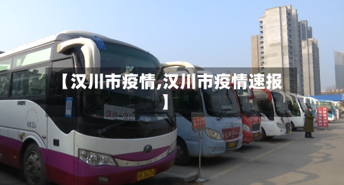 【汉川市疫情,汉川市疫情速报】-第3张图片