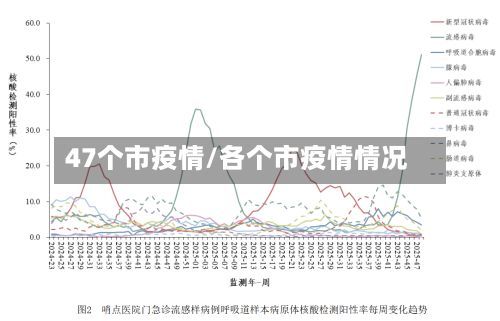 47个市疫情/各个市疫情情况-第1张图片