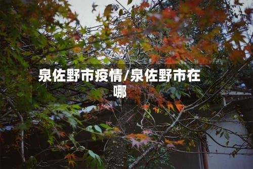 泉佐野市疫情/泉佐野市在哪-第1张图片