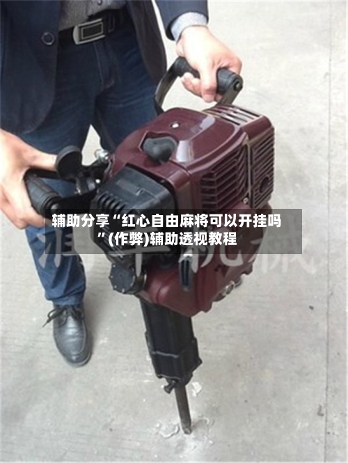 辅助分享“红心自由麻将可以开挂吗	”(作弊)辅助透视教程-第1张图片