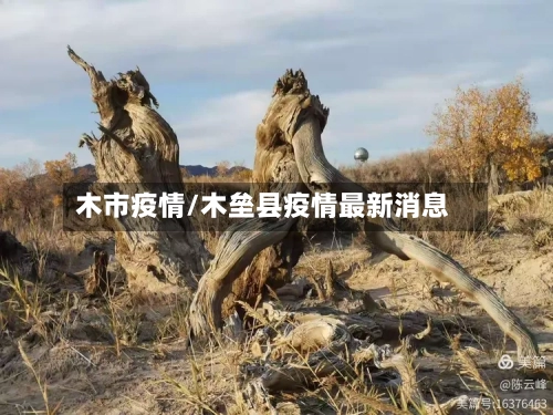 木市疫情/木垒县疫情最新消息-第3张图片