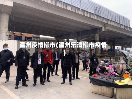 温州疫情柳市(温州乐清柳市疫情)-第3张图片