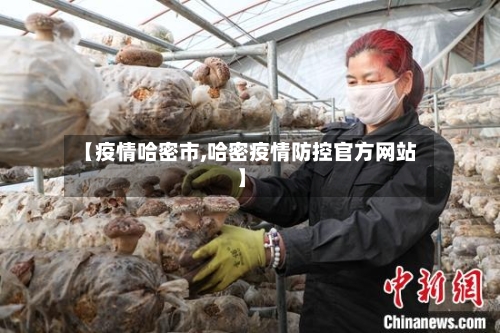 【疫情哈密市,哈密疫情防控官方网站】-第3张图片