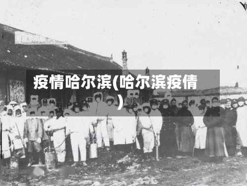 疫情哈尔滨(哈尔滨疫倩)-第1张图片