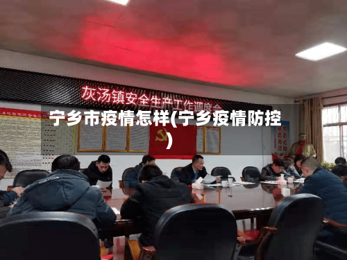 宁乡市疫情怎样(宁乡疫情防控)-第1张图片