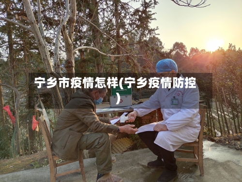 宁乡市疫情怎样(宁乡疫情防控)-第2张图片