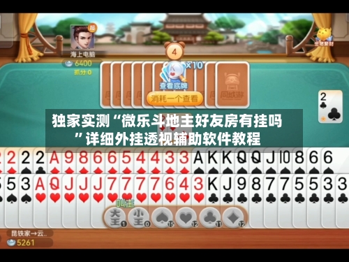 独家实测“微乐斗地主好友房有挂吗”详细外挂透视辅助软件教程-第1张图片