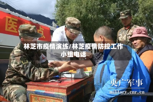 林芝市疫情演练/林芝疫情防控工作小组电话-第1张图片