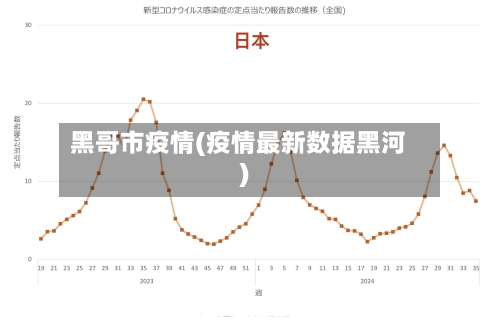 黑哥市疫情(疫情最新数据黑河)-第1张图片