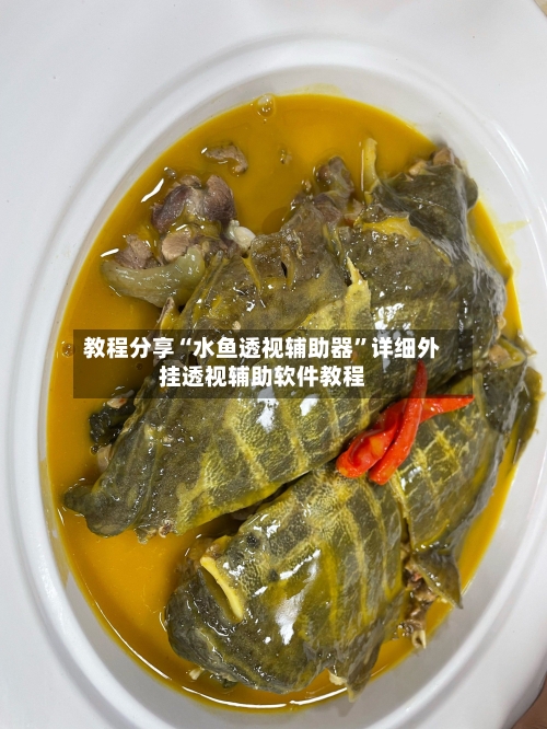 教程分享“水鱼透视辅助器	”详细外挂透视辅助软件教程-第2张图片
