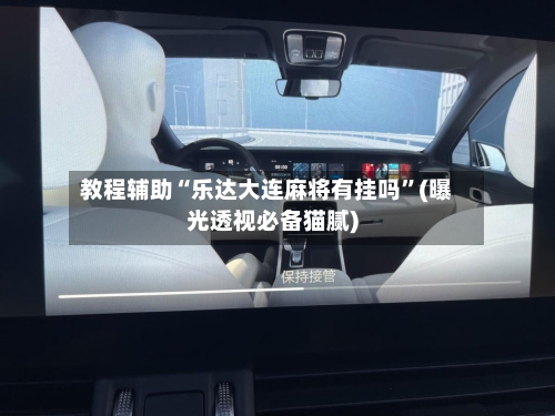 教程辅助“乐达大连麻将有挂吗”(曝光透视必备猫腻)-第2张图片
