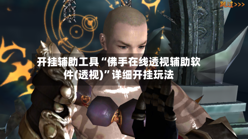开挂辅助工具“佛手在线透视辅助软件(透视)”详细开挂玩法-第1张图片