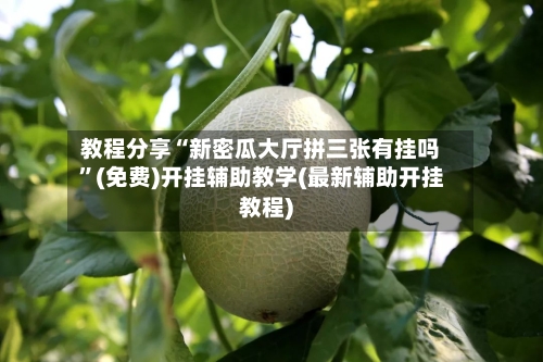 教程分享“新密瓜大厅拼三张有挂吗	”(免费)开挂辅助教学(最新辅助开挂教程)-第1张图片