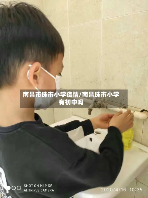 南昌市珠市小学疫情/南昌珠市小学有初中吗-第3张图片