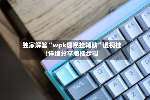 独家解答“wpk透视挂辅助	”透视挂!详细分享装挂步骤-第2张图片