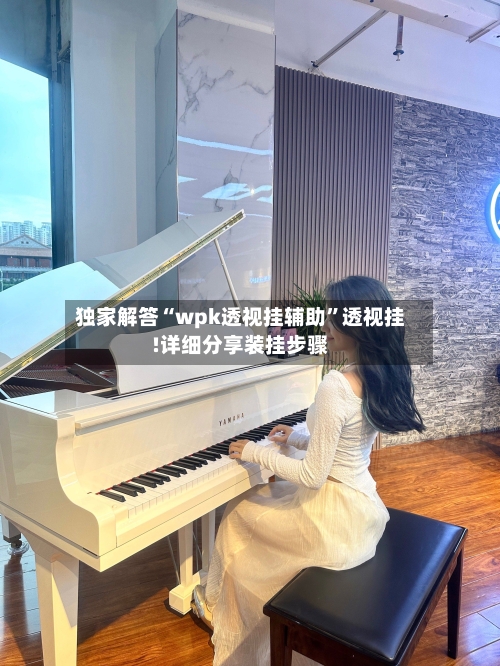 独家解答“wpk透视挂辅助”透视挂!详细分享装挂步骤-第1张图片