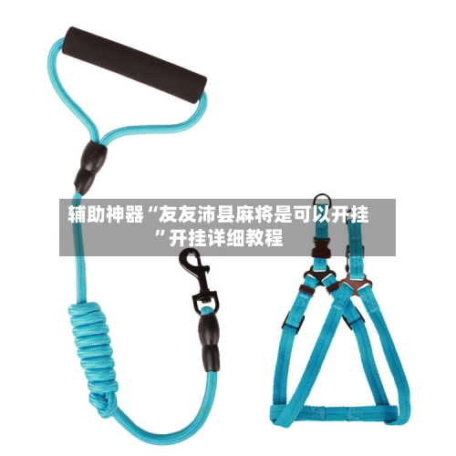 辅助神器“友友沛县麻将是可以开挂”开挂详细教程-第3张图片
