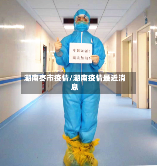 湖南枣市疫情/湖南疫情最近消息-第1张图片