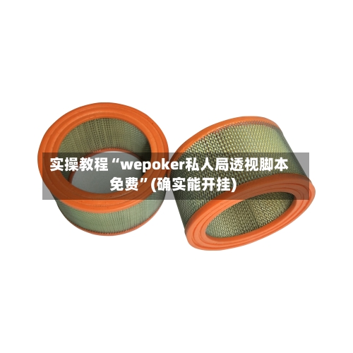 实操教程“wepoker私人局透视脚本免费”(确实能开挂)-第2张图片