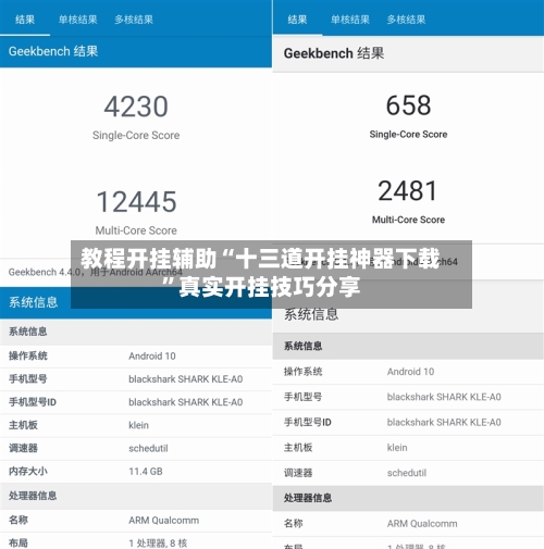 教程开挂辅助“十三道开挂神器下载	”真实开挂技巧分享-第1张图片