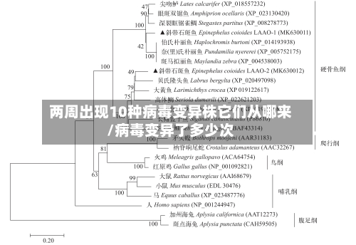 两周出现10种病毒变异株它们从哪来/病毒变异了多少次-第1张图片