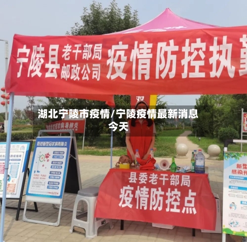 湖北宁陵市疫情/宁陵疫情最新消息今天-第2张图片