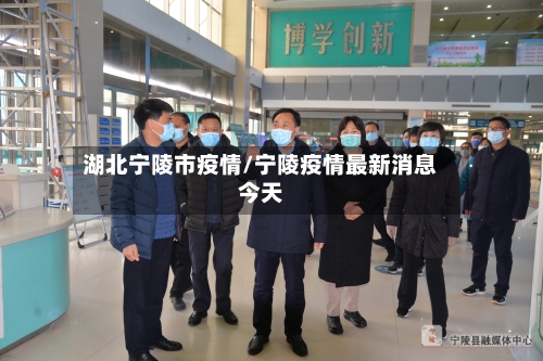 湖北宁陵市疫情/宁陵疫情最新消息今天-第1张图片