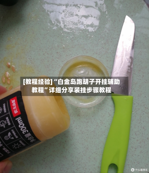[教程经验]“白金岛跑胡子开挂辅助教程”详细分享装挂步骤教程-第1张图片