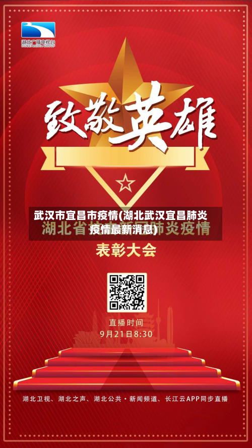 武汉市宜昌市疫情(湖北武汉宜昌肺炎疫情最新消息)-第2张图片