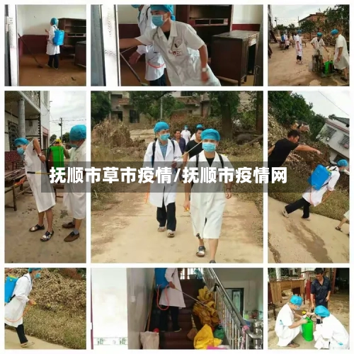 抚顺市草市疫情/抚顺市疫情网-第1张图片