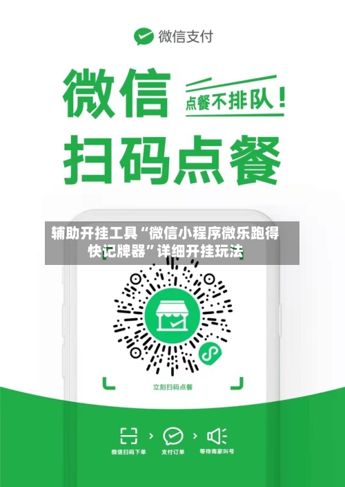 辅助开挂工具“微信小程序微乐跑得快记牌器”详细开挂玩法-第3张图片