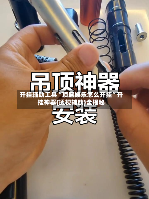 开挂辅助工具“顶盛娱乐怎么开挂”开挂神器{透视辅助}全揭秘-第1张图片