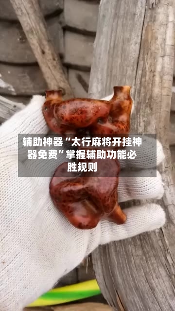 辅助神器“太行麻将开挂神器免费	”掌握辅助功能必胜规则-第1张图片