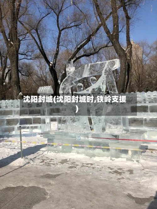 沈阳封城(沈阳封城时,铁岭支援)-第1张图片