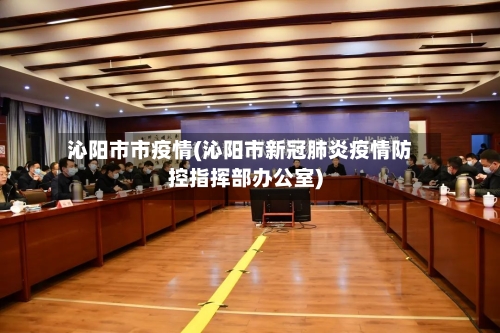 沁阳市市疫情(沁阳市新冠肺炎疫情防控指挥部办公室)-第1张图片