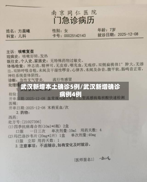 武汉新增本土确诊5例/武汉新增确诊病例4例-第1张图片